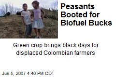 Peasants Booted for Biofuel Bucks