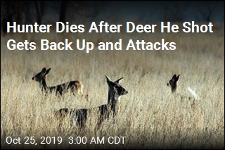Hunter Dies After Deer He Shot Gets Back Up and Attacks