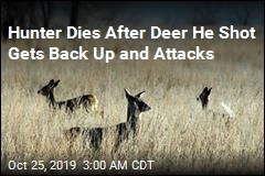Hunter Dies After Deer He Shot Gets Back Up and Attacks