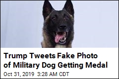Trump Tweets Fake Photo of Military Dog Getting Medal