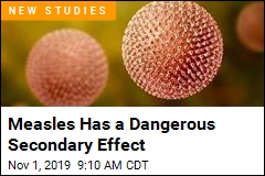 Measles Has a Dangerous Secondary Effect