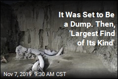 It Was Set to Be a Dump. Then, &#39;Largest Find of Its Kind&#39;