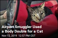 Airport Smuggler Used a Body Double for a Cat