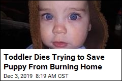 Toddler Dies Trying to Save Puppy From Fire