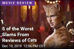 5 of the Worst Slams From Reviews of Cats