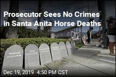 Prosecutor Sees No Crimes in Santa Anita Horse Deaths