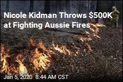 Nicole Kidman Throws $500K at Fighting Aussie Fires