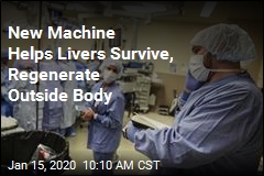 Machine Keeps Livers Alive Outside the Body for 7 Days