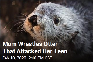 Mom Wrestles Otter That Attacked Her Teen