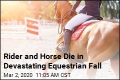 Rider and Horse Die in Devastating Equestrian Fall