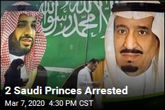2 Saudi Princes Arrested