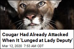Cougar Had Already Attacked When It &#39;Lunged at Lady Deputy&#39;