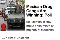 Mexican Drug Gangs Are Winning: Poll