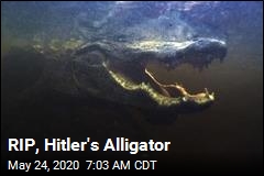 RIP, Hitler&#39;s Alligator