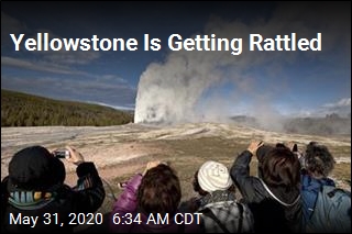 Earthquakes Rattle Yellowstone
