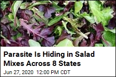 People Are Getting Sick From Eating This Salad