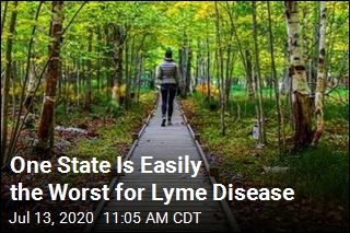 10 Worst States for Lyme Disease