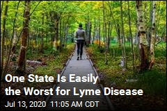 10 Worst States for Lyme Disease