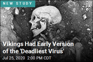 World&#39;s Deadliest Virus Found in Viking Remains