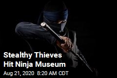 Stealthy Thieves Hit Ninja Museum