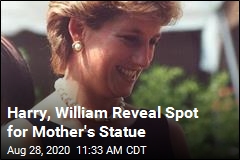 Harry, William Reveal Spot for Mother&#39;s Statue
