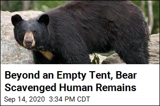 Bear Was &#39;Actively Scavenging&#39; Human Remains in Smokies