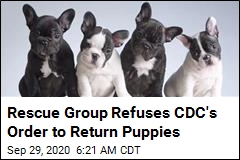 Rescue Group Refuses CDC Order to Return Puppies