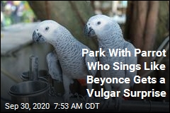 Potty-Mouthed Parrots Cause Ruckus at Wildlife Park