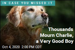 Thousands Mourn Charlie, a Very Good Boy