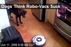 Dogs Think Robo-Vacs Suck