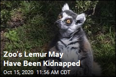 Zoo&#39;s Lemur May Have Been Kidnapped