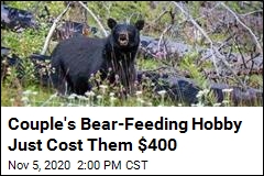 Elderly Couple Dinged $400 for Feeding Bears