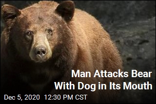 Man Attacks Bear With Dog in Its Mouth