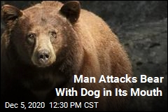 Man Attacks Bear With Dog in Its Mouth