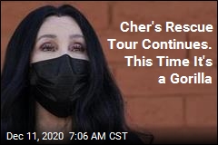 Cher&#39;s Rescue Tour Continues. This Time It&#39;s a Gorilla