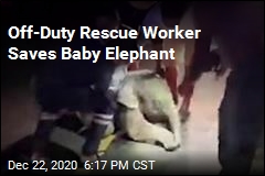 Man Revives Injured Baby Elephant With CPR
