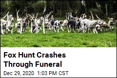 Fox Hunt Crashes Through Funeral