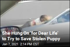 She Hung On &#39;for Dear Life&#39; to Try to Save Stolen Puppy