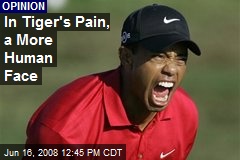In Tiger's Pain, a More Human Face