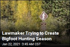 Lawmaker Files Bill for Bigfoot Hunting Season
