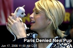 Paris Denied New Pup