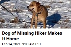 Missing Hiker&#39;s Dog Found 8 Days After Owner Vanished