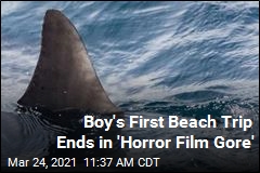Boy&#39;s First Beach Trip Ends in &#39;Horror Film Gore&#39;