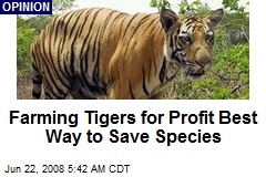 Farming Tigers for Profit Best Way to Save Species