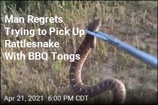 Rattlesnake Bites Man Who Tried to Pick It Up With BBQ Tongs