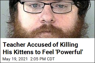 Texas Geometry Teacher Allegedly Killed His Kittens