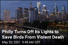 Philly Turns Off Its Lights to Save Birds From Violent Death