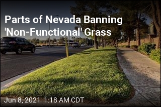 Las Vegas Valley Banning &#39;Non-Functional&#39; Grass