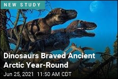 Dinosaurs Survived Brutal Ancient Arctic