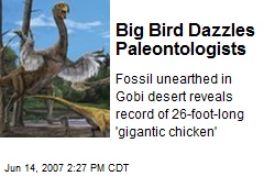 Big Bird Dazzles Paleontologists